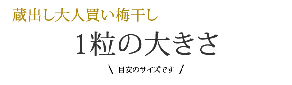 1粒の大きさについて